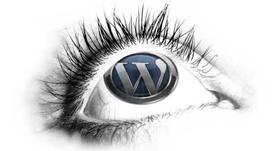 wordpress plugin