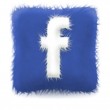 facebook-icon